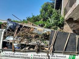 Best Demolition Debris Removal  in Apple Valley, CA